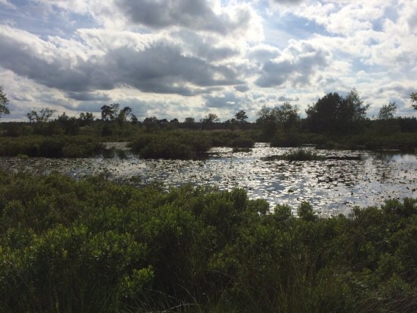 Malpi, une region naturelle, proche de Borkel en Schaft, pour faire des promenades ou aller en bicyclette